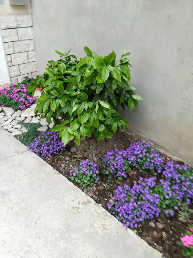Apartment Visoka Split Dış mekan fotoğraf